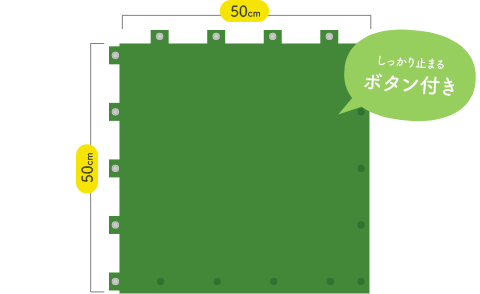 50cm×50cm