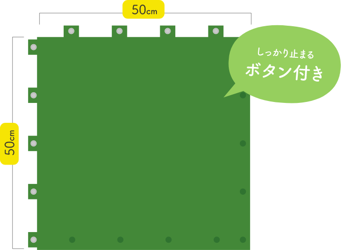 50cm×50cm